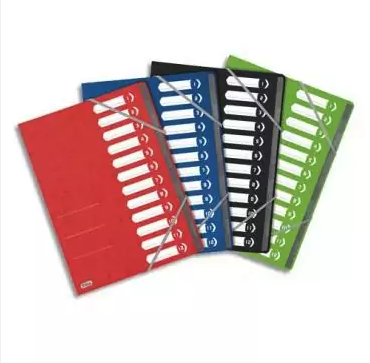 Trieur A Soufflet Color Life 12 Positions A4 Assortis Oxford 0156